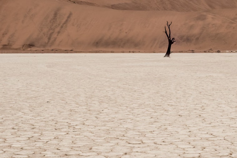 Arizona Audit Reveals Saudi-Owned Firm's Low-Cost Leases and Groundwater Use Amid Drought Concerns