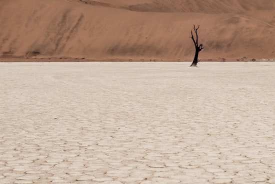 Arizona Audit Reveals Saudi-Owned Firm's Low-Cost Leases and Groundwater Use Amid Drought Concerns