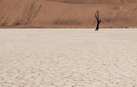 Arizona Audit Reveals Saudi-Owned Firm's Low-Cost Leases and Groundwater Use Amid Drought Concerns