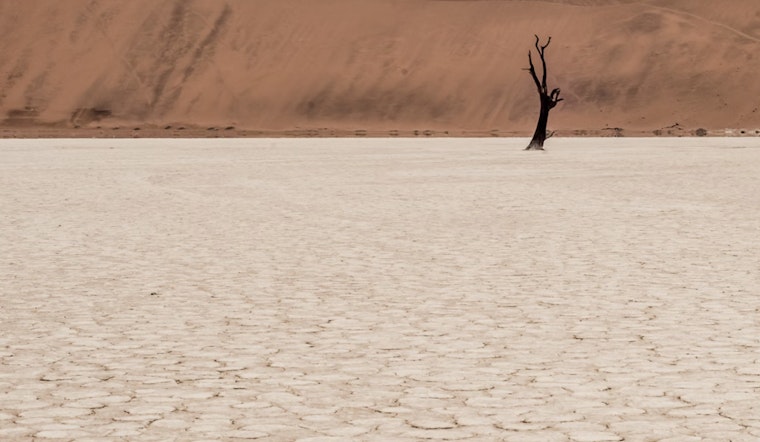 Arizona Audit Reveals Saudi-Owned Firm's Low-Cost Leases and Groundwater Use Amid Drought Concerns