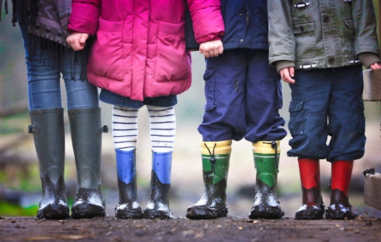 Arizona Child Safety Agency Criticized, House Bill Pushes Stricter Reporting