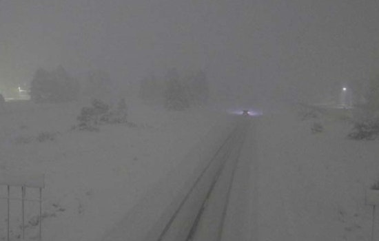 Arizona Grapples with Winter Storm Fallout as Schools Shut, Travel Woes Mount in Flagstaff and the Valley