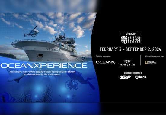 Arizona Science Center Launches Immersive 'OceanXperience' Exhibit for Marine Enthusiasts