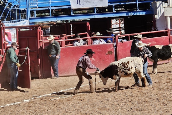 Arizona's Fusion of Festivity and Activism as Gay Rodeo Celebrates With a Purpose, Rallying for Abortion Rights Ballot Measure