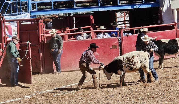 Arizona's Fusion of Festivity and Activism as Gay Rodeo Celebrates With a Purpose, Rallying for Abortion Rights Ballot Measure