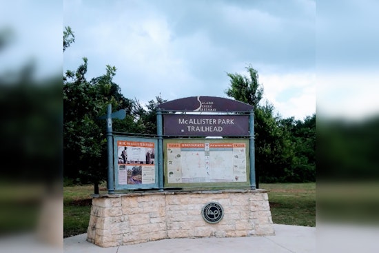 Armed Thieves Abduct French Bulldog From San Antonio Park Amid Rising Pet Theft Cases