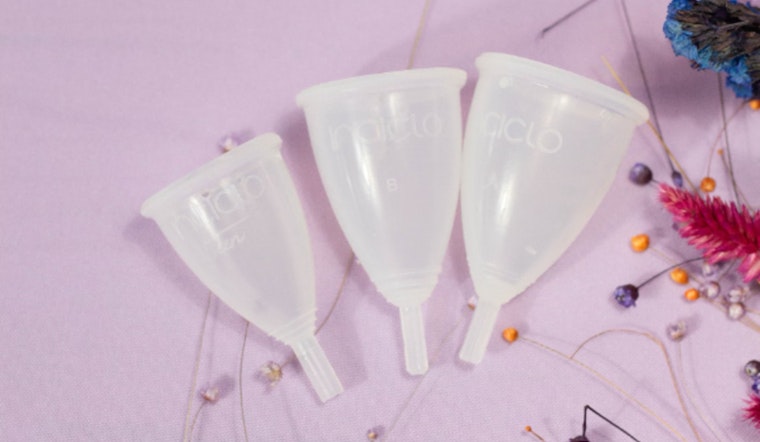 Atlanta City Council Considers Ordinance for Free Feminine Hygiene Products in City Buildings