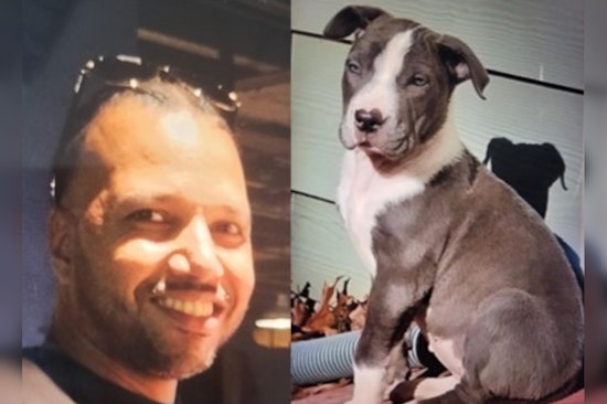 Atlanta Police Seek Leads in Ruthless Murder and Dog Robbery on Mitchell Street SW