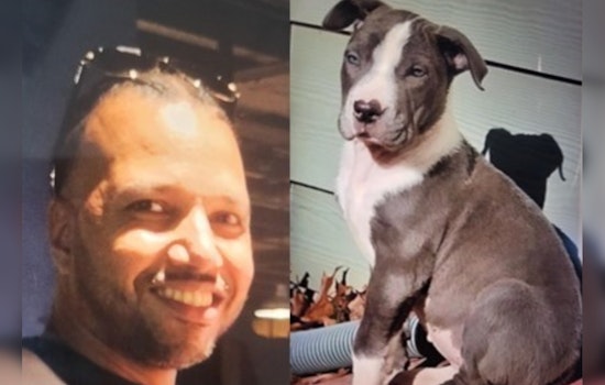 Atlanta Police Seek Leads in Ruthless Murder and Dog Robbery on Mitchell Street SW