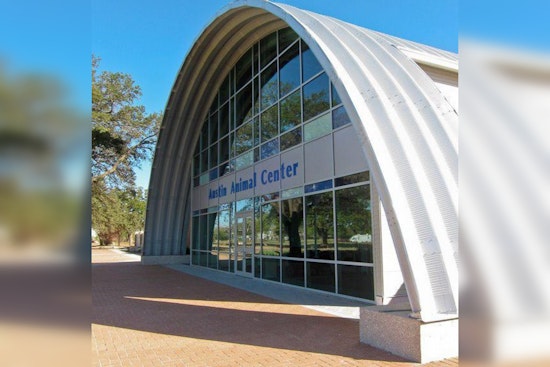 Austin Animal Center to Phase Out Pop-Up Crates, Seeks Adoption Boost in Compliance With State Law