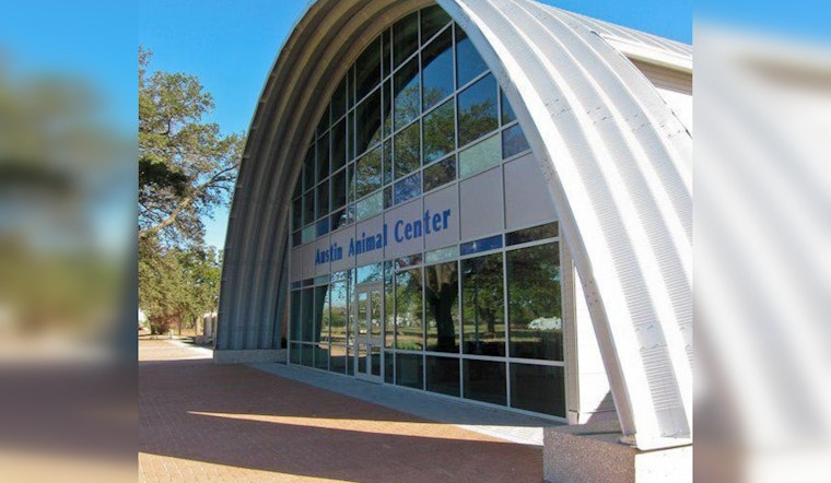 Austin Animal Center to Phase Out Pop-Up Crates, Seeks Adoption Boost in Compliance With State Law