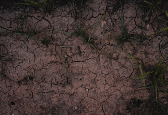 Austin's City Council Debates Fiscal Strategies for Vital Climate Initiatives Amid Funding Challenges