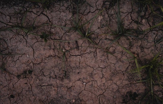 Austin's City Council Debates Fiscal Strategies for Vital Climate Initiatives Amid Funding Challenges