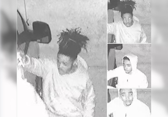 Authorities Seeking Public's Help to Identify Suspects in Mayside Lane Vehicle Burglary