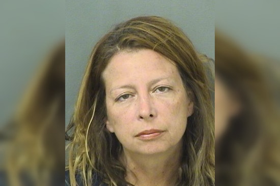 Boca Raton Woman Charged with DUI Found Asleep in Tesla with Vodka at Boynton Beach Wawa