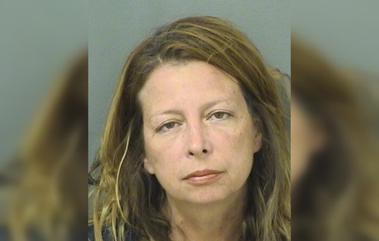 Boca Raton Woman Charged with DUI Found Asleep in Tesla with Vodka at Boynton Beach Wawa