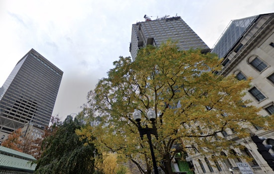 Boston Chills Persist with Gusty Winds, as Midweek Warms Hints at Spring