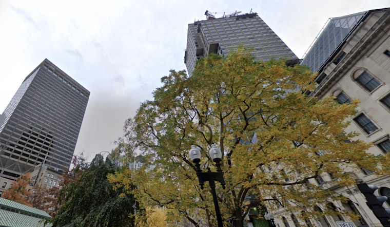 Boston Chills Persist with Gusty Winds, as Midweek Warms Hints at Spring