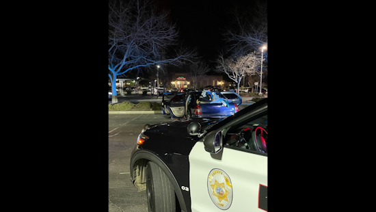 Brentwood Police Nab Woman Accused of Shoplifting Amid Felony Probation Violation