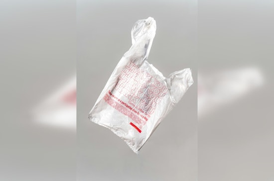 California Legislature Considers Total Plastic Bag Ban Amid Rising Waste Concerns