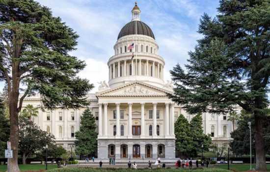 California State Senator Proposes Bold Legislation to Ban 'Forever Chemicals' by 2030