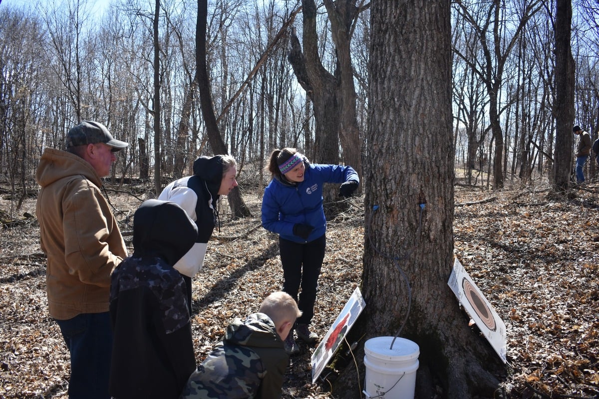 Carver County to Host Delightful Maple Syrup Festival at Baylor