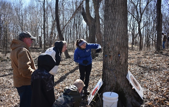 Carver County to Host Delightful Maple Syrup Festival at Baylor Regional Park in April