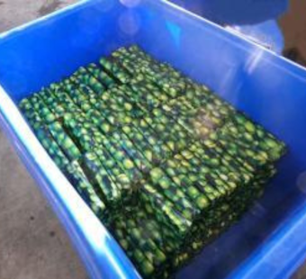 CBP at California's Otay Mesa Seizes Over $3 Million in Cocaine Hidden in Lime Shipment