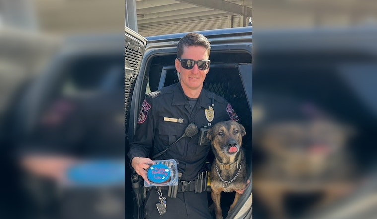 Cedar Park Police Department Honors K9 Leo With Birthday Celebration