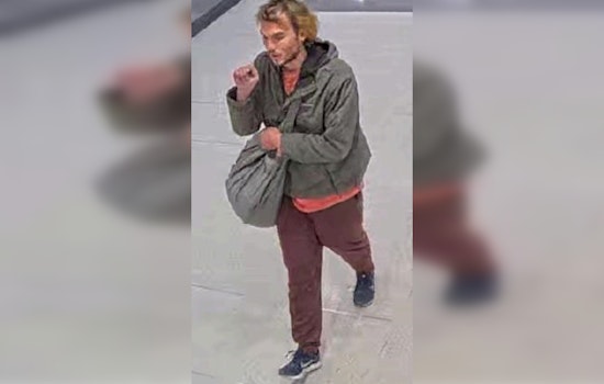 Chicago Police Seek Assistance in Search for Missing Adult Robert Burton Last Seen at O'Hare
