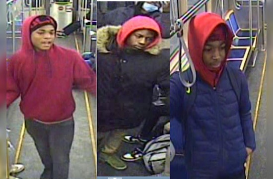 Chicago Police Seek Public's Help in Identifying Suspects in Red Line Robbery