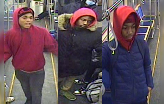 Chicago Police Seek Public's Help in Identifying Suspects in Red Line Robbery