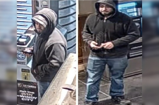 Chicago Police Seek Public's Help to Identify Suspect in CTA Red Line Vandalism Incident