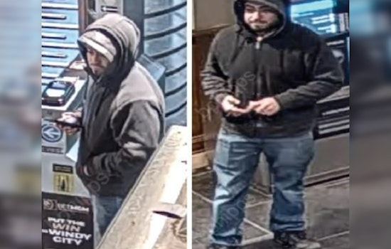 Chicago Police Seek Public's Help to Identify Suspect in CTA Red Line Vandalism Incident