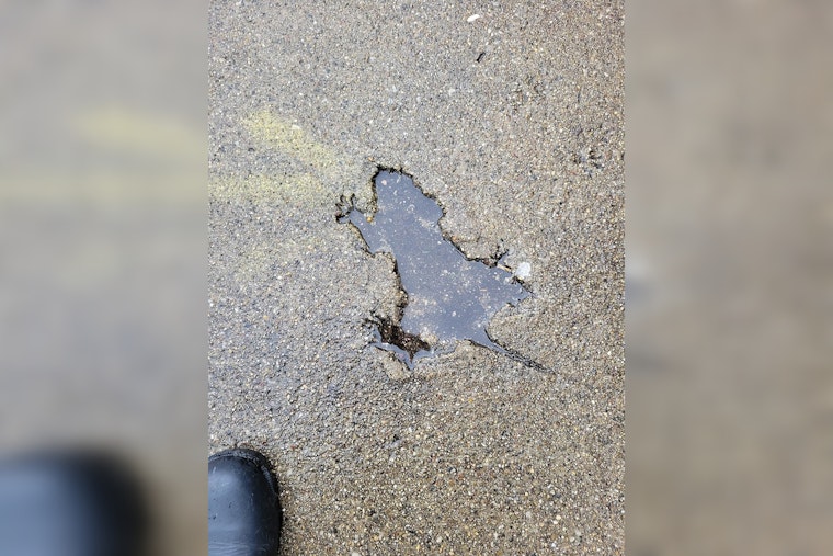 Chicago Rat Hole Becomes Unlikely Cultural Phenomenon, Inspiring Etsy Merchandise Frenzy