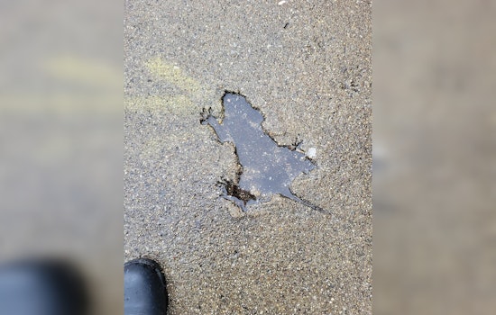 Chicago Rat Hole Becomes Unlikely Cultural Phenomenon, Inspiring Etsy Merchandise Frenzy