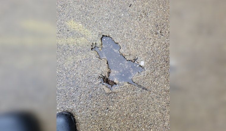 Chicago Rat Hole Becomes Unlikely Cultural Phenomenon, Inspiring Etsy Merchandise Frenzy