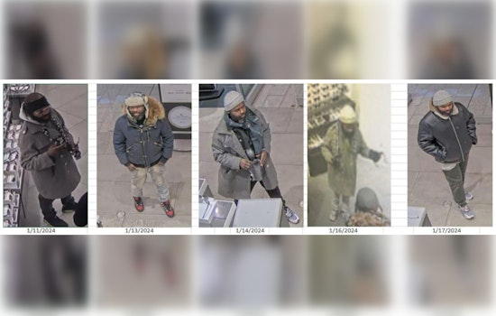 Chicago Shops on High Alert Amid Spree of Bold Retail Thefts