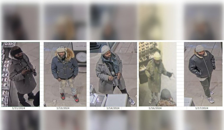 Chicago Shops on High Alert Amid Spree of Bold Retail Thefts