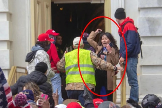 Chicago Suburban Woman Sentenced to 10 Days for Jan. 6 Capitol Riot Involvement