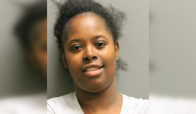 Chicago Woman Charged With Robbery and Aggravated Battery in Violent Attack