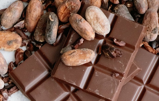 Chicago's Candy Legacy Revived as Local Chocolatiers Blend Tradition with Science in a Modern-Day Wonka World