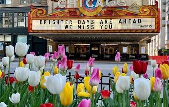 Chicago's Michigan Avenue Tulips Bloom Early After Warmest Winter in Decades