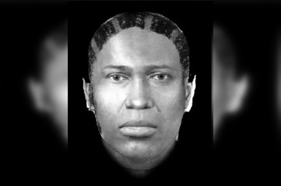 Chicago's Tinley Park Continues Relentless Pursuit of Lane Bryant Murder Case Resolution