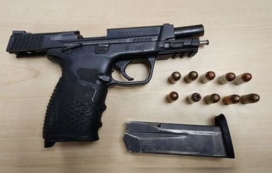 Cook County Sheriff's Traffic Stop in Dixmoor Leads to Felony Drug and Weapons Charges