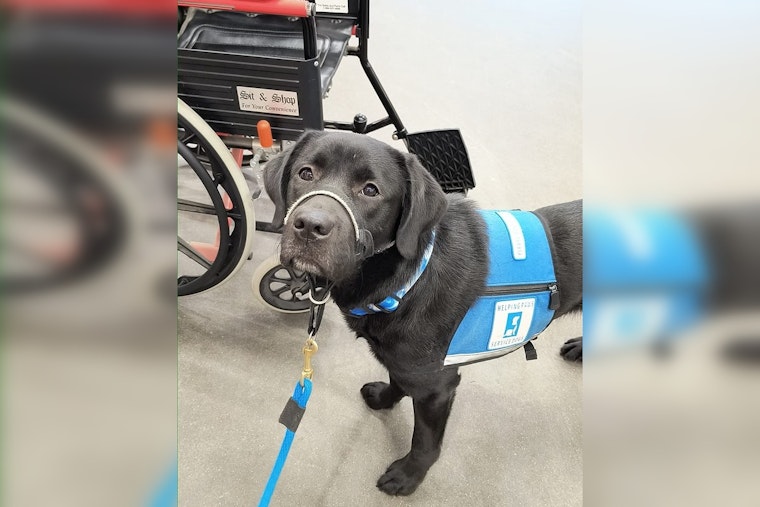 Couple on a Healing Mission Provides Service Dogs to Veterans and First Responders with PTSD