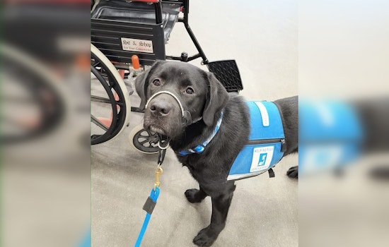Couple on a Healing Mission Provides Service Dogs to Veterans and First Responders with PTSD