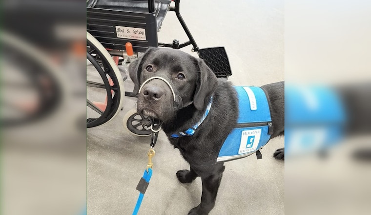 Couple on a Healing Mission Provides Service Dogs to Veterans and First Responders with PTSD