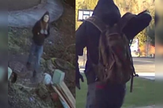 Cowlitz County Sheriff Launches Manhunt for Suspect in String of Violent Home Invasions in Longview