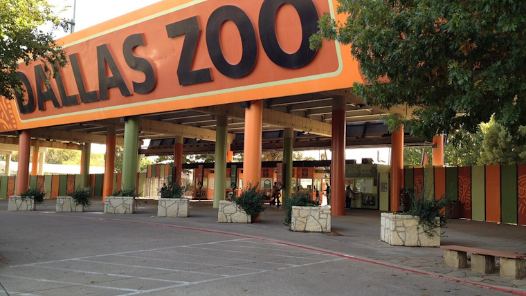 Dallas City Council Endorses $100 Million Dallas Zoo Renovation Ahead of May Bond Referendum